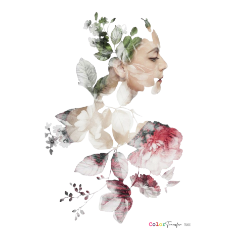 COLOR TRANSFER 27x21cm