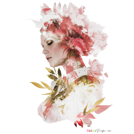 COLOR TRANSFER 27x21cm