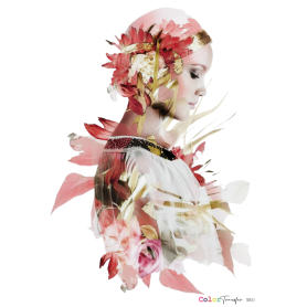 COLOR TRANSFER 27x21cm