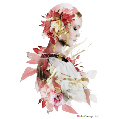 COLOR TRANSFER 27x21cm