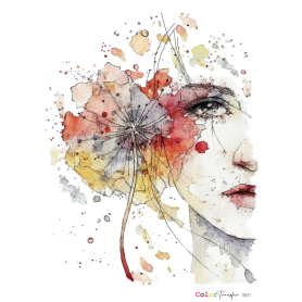 COLOR TRANSFER 27x21cm