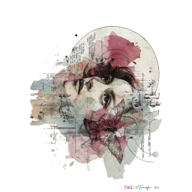 COLOR TRANSFER 27x21cm