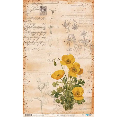 Papel De Arroz Botanical Book "Flower I" 33x54cm