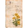 Papel De Arroz Botanical Book "Flower I" 33x54cm