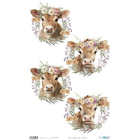 Papel de Arroz ·Flora & Fauna XI" 54x33cm