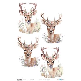 Papel de Arroz ·Flora & Fauna X" 54x33cm