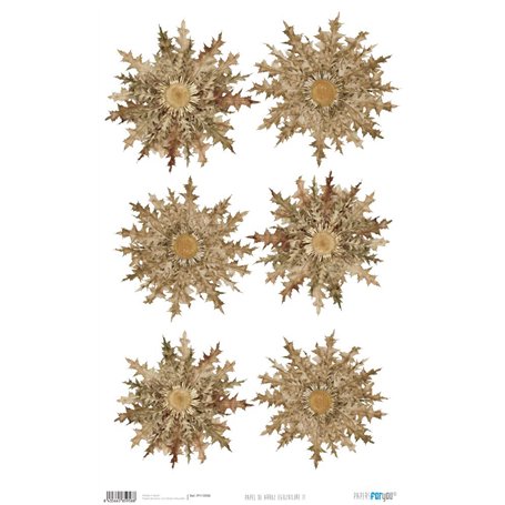 Papel de Arroz ·Eguzkilore II" 54x33cm