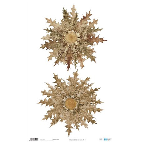 Papel de Arroz ·Eguzkilore I" 54x33cm