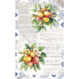 Papel de Arroz ·Mangos VI" 54x33cm