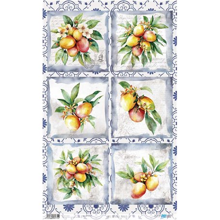 Papel de Arroz ·Mangos III" 54x33cm