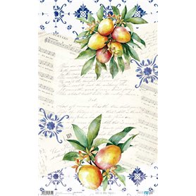 Papel de Arroz ·Mangos I" 54x33cm