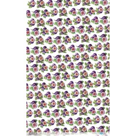 Papel Arroz 54×33 cm 25-30 gr. "Figs V"