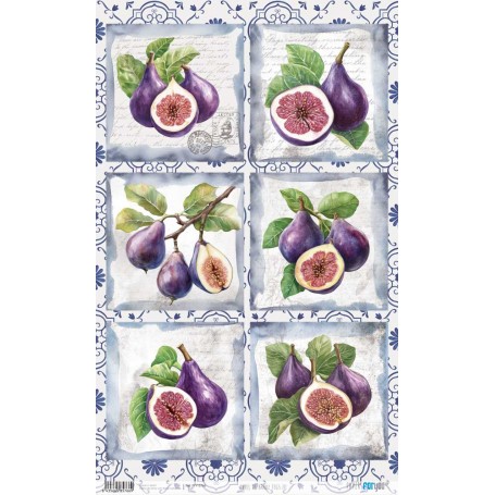 Papel Arroz 54×33 cm 25-30 gr. "Figs III"