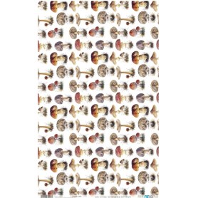 Papel De Setas Botánicas 54x33cm