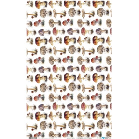 Papel De Setas Botánicas 54x33cm