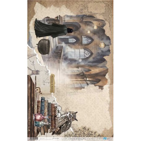 Papel De Arroz Harry Potter Potion Class 54x33cm