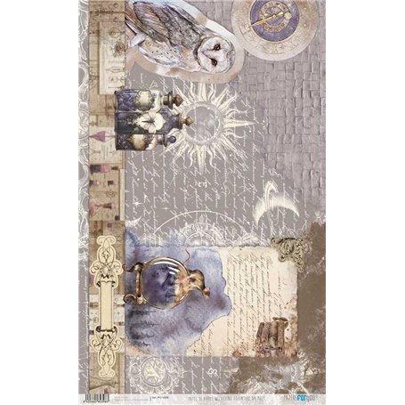 Papel De Arroz Harry Potter Animals 54x33cm