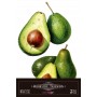 Decor Transfers Avocados 20x30cm. 3 Hojas.