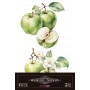 copy of Decor Transfers Green Apples 15736 30x30cm 3 Hojas.