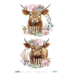 Papel Arroz 54×33 cm 25-30 gr. "Flora & Fauna VII"