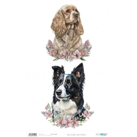 Papel Arroz 54×33 cm 25-30 gr. "Flora & Fauna VI"