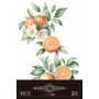 Decor Transfers Oranges 15738 30x30cm 3 Hojas.