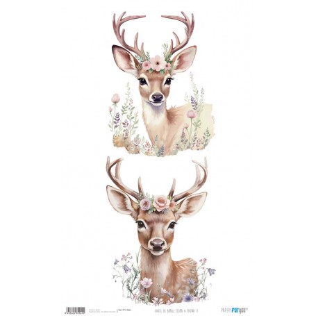 Papel Arroz 54×33 cm 25-30 gr. "Flora & Fauna II"