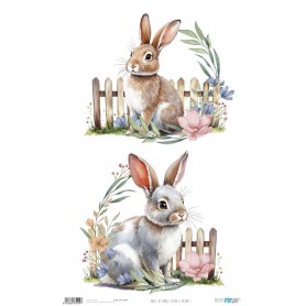 Papel Arroz 54×33 cm 25-30 gr. "Flora & Fauna I"