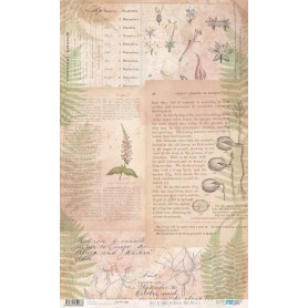 Papel De Setas Botánicas 54x33cm