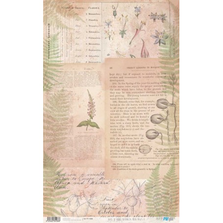 Papel De Setas Botánicas 54x33cm