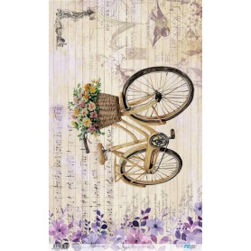 Papel De Arroz Vintage Bike VI 54x33cm
