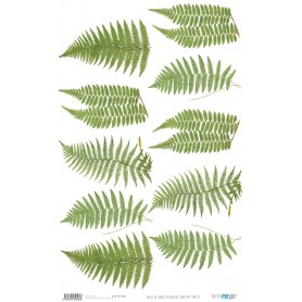 Papel De Setas Botánicas Botanical Book III 54x33cm