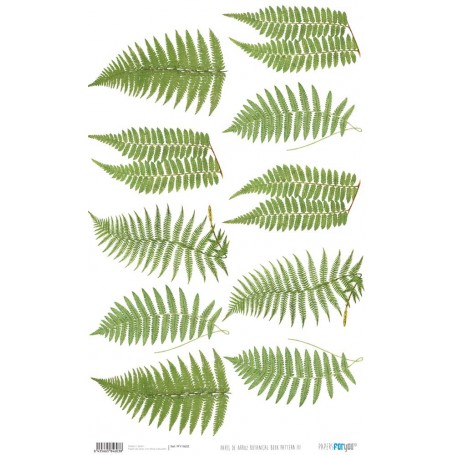 Papel De Setas Botánicas Botanical Book III 54x33cm