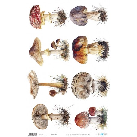 Papel De Setas Botánicas Botanical Book I 54x33cm