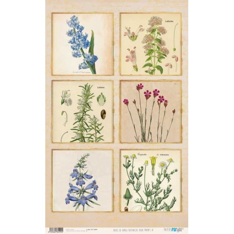 Papel De Setas Botánicas Botanical Book Frames IV 54x33cm