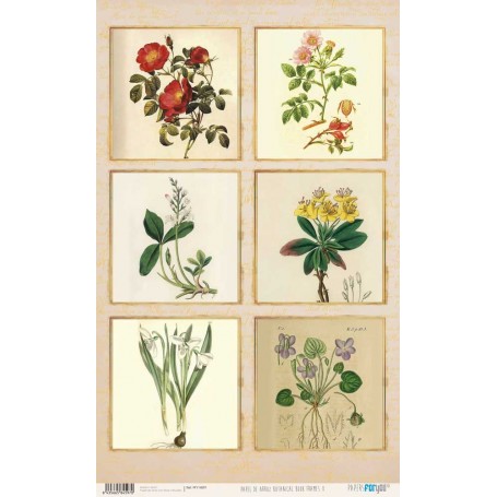 Papel De Setas Botánicas Botanical Book Frames II 54x33cm