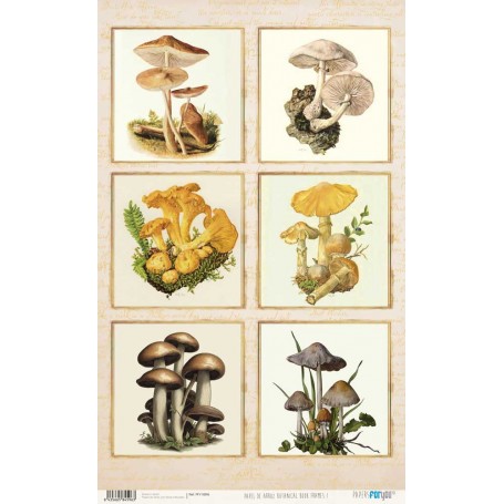 Papel De Setas Botánicas Botanical Book Frames I 54x33cm