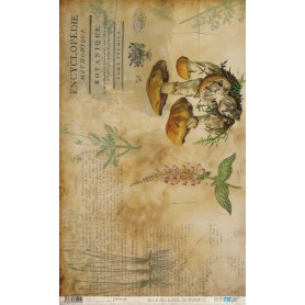 Papel De Setas Botánicas Botanical Book Mushrooms III 54x33cm