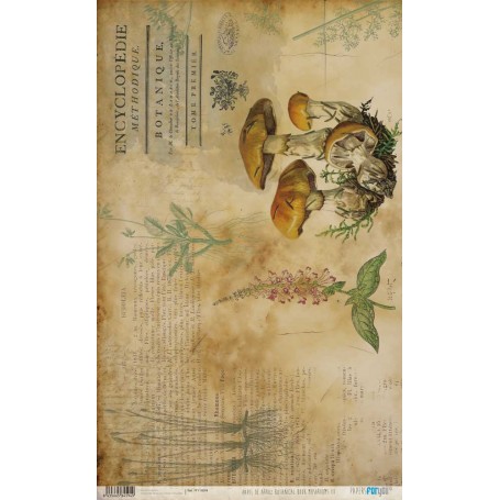 Papel De Setas Botánicas Botanical Book Mushrooms III 54x33cm