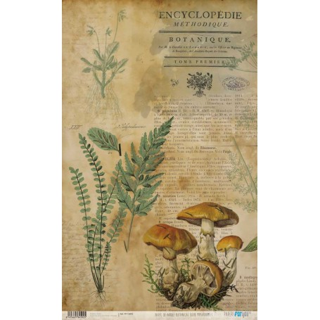 Papel De Setas Botánicas Botanical Book Mushrooms II 54x33cm