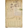 Papel De Setas Botánicas Botanical Book Pages IV 54x33cm