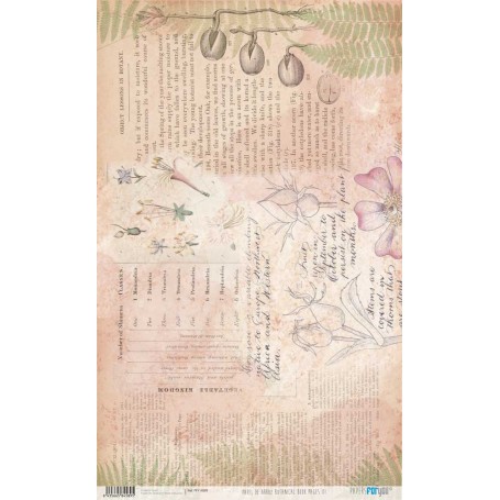 Papel De Setas Botánicas 54x33cm