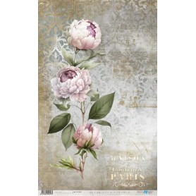 Papel de Arroz La Petite Vie En Fleurs Peonies III 54×33 cm