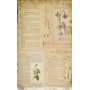 Papel De Setas Botánicas Botanical Book Pages I 54x33cm