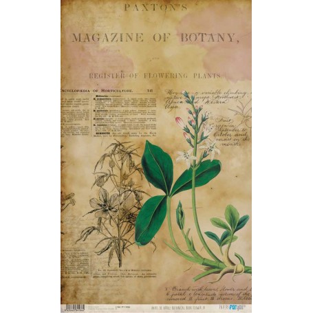 Papel De Setas Botánicas Botanical Book Flowers IV 54x33cm