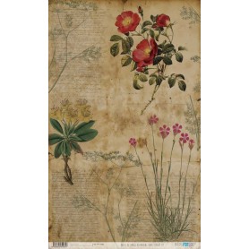 Papel De Setas Botánicas Botanical Book Flower III 54x33cm