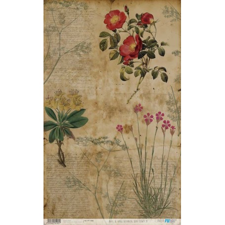 Papel De Setas Botánicas Botanical Book Flower III 54x33cm