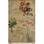 Papel De Setas Botánicas Botanical Book Flower III 54x33cm