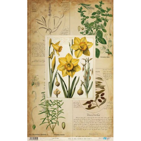 Papel De Setas Botánicas Botanical Book Flowers II 54x33cm
