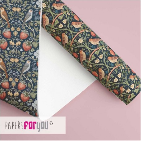 Tela Encuadernar Napoli II 70x50cm.